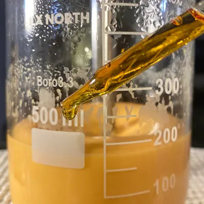 By Valenti Organics Natural Skincare in the Making of Bakuchiol Night Repair Cream