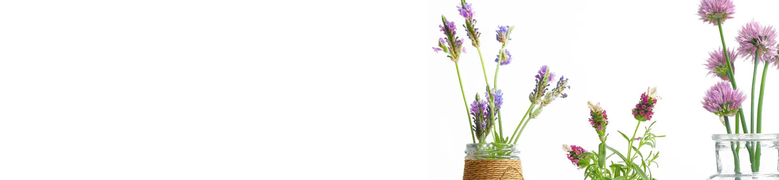 Pink, purple and red flowers on vases